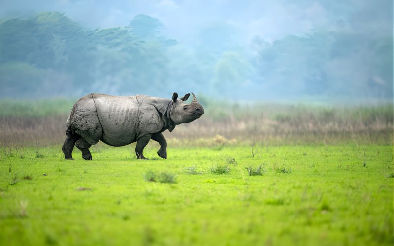 Assam & Meghalaya Discovery